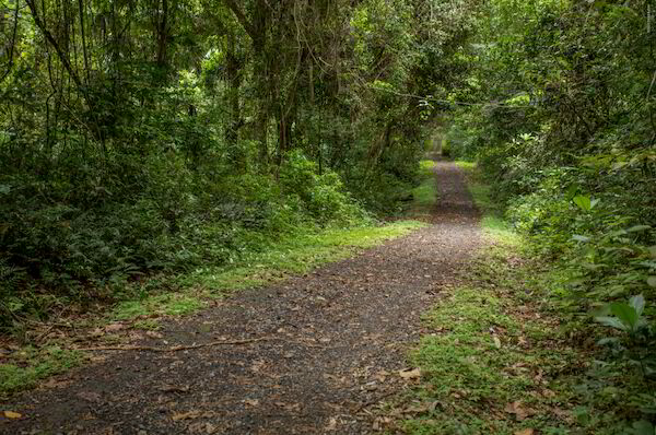 Áreas verdes y parques recreativos en Panamá